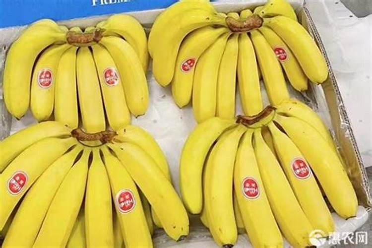 香蕉皮适合什么花做肥料