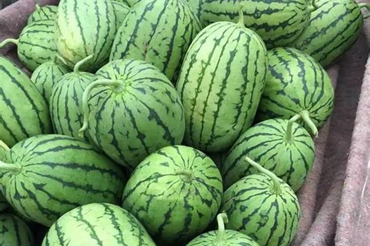种西瓜用什么肥料最好
