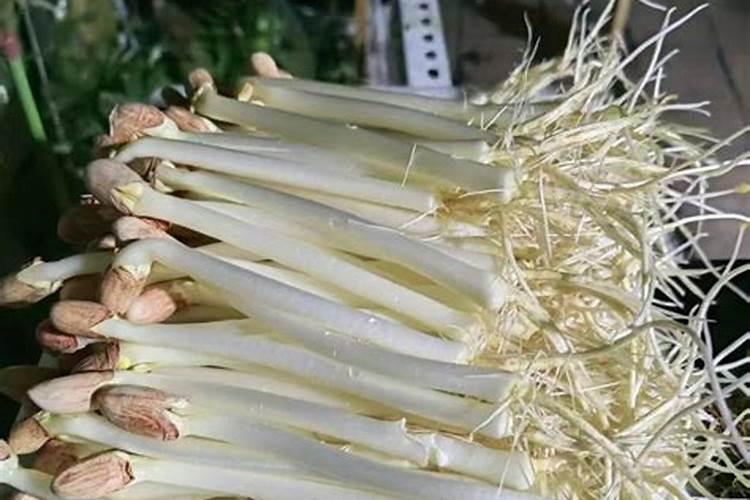花生幼苗可以喷叶面肥吗 使用什么肥料好