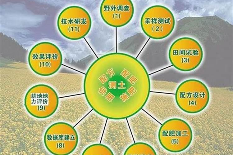 颗粒水溶肥可以冲施药材吗？