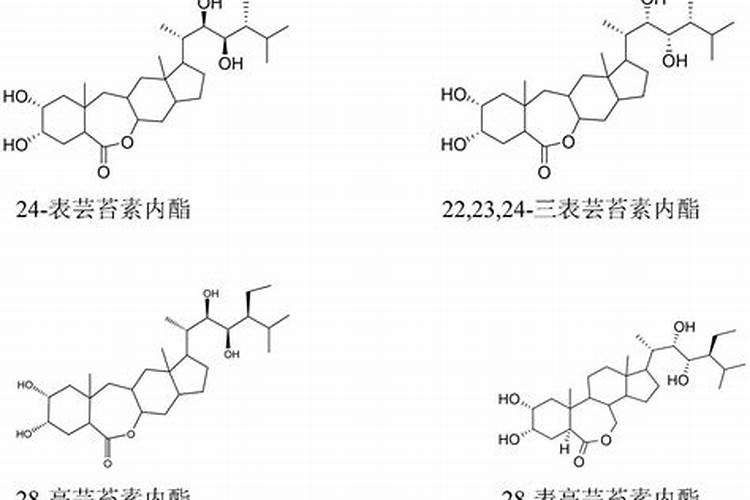 植物基因活化剂与芸苔素内酯有什么区别？
