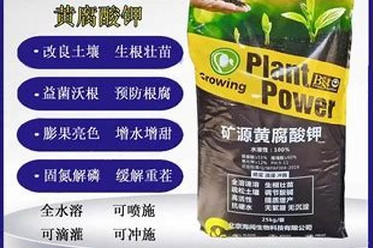 硫酸镁是酸性还是碱性