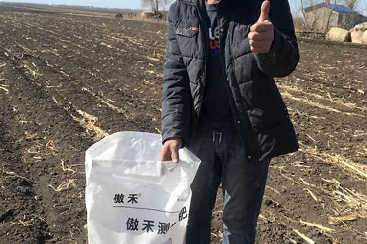 冬小麦应该如何施肥？