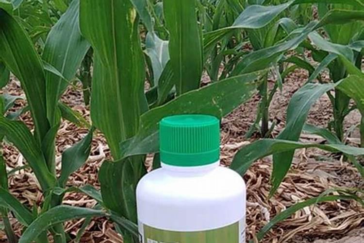 芸苔素和磷酸二氢钾+液体氮肥混合使用有什么效果？