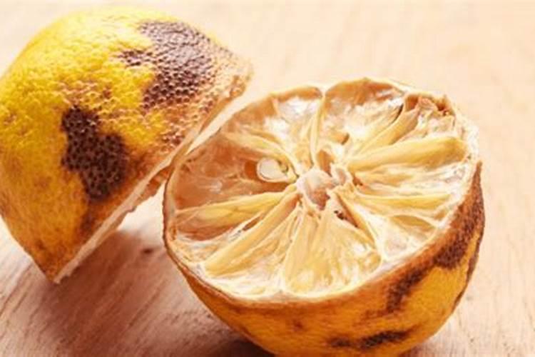 烂水果可以发酵做肥料吗