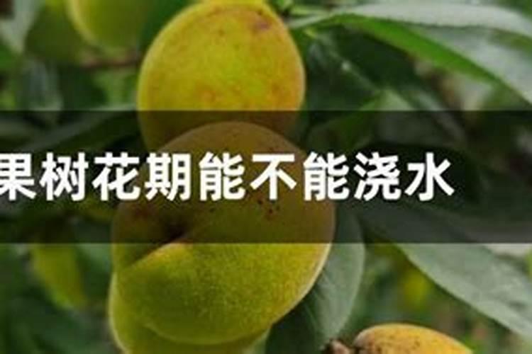 玉米地氮肥深施有哪些作用？