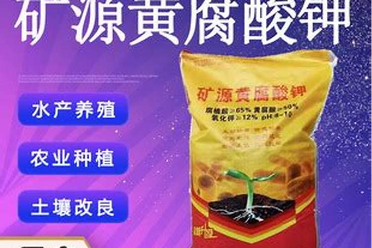 草莓施肥用什么肥料好