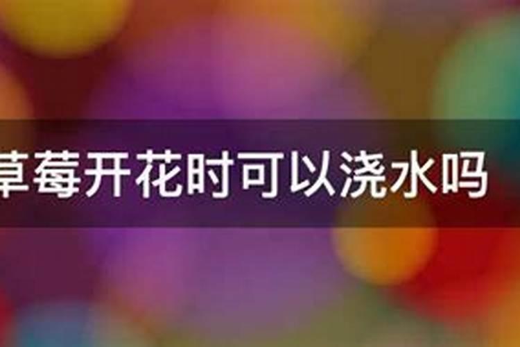 草莓开花结果期怎么施肥 肥料要怎么选择