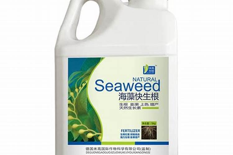 西瓜苗用什么肥料生根快 西瓜苗几月份开始育苗