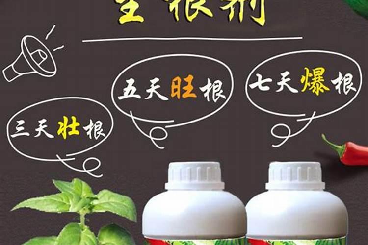 茄子生根肥灌的次数多有害处吗？