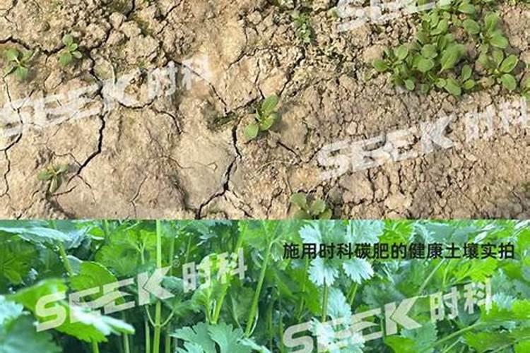水溶肥做叶面肥用量多少