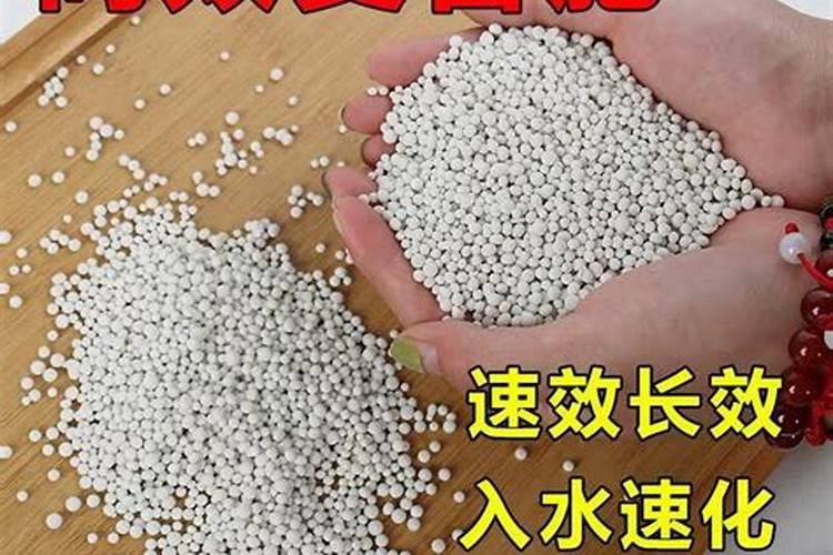 枸杞树苗多少钱一棵？种枸杞一亩地能赚多少？