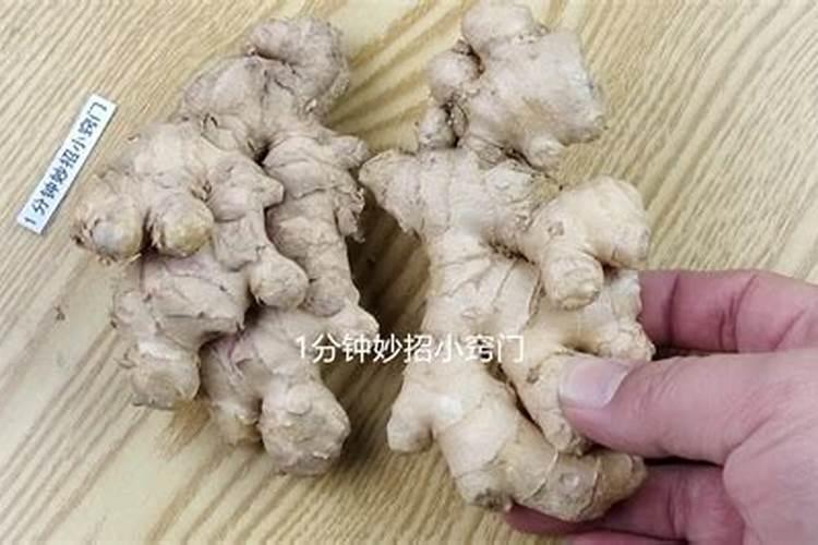 大姜催芽最高温度,最低温度,最适温度是多少？