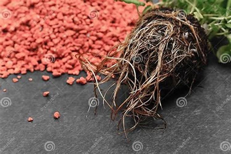 什么叫颗粒氮肥？