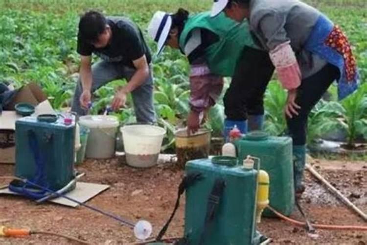 中量元素水溶肥可以和百菌清混合用吗