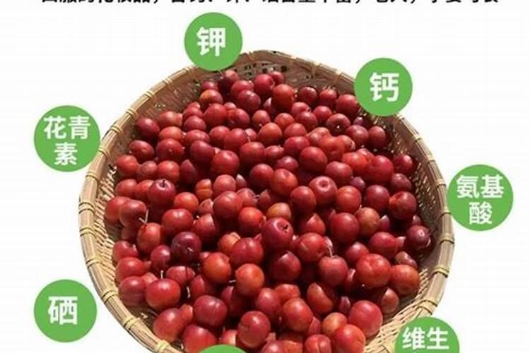 刑法生产、销售伪劣农药、兽药、化肥、种子罪的判罪标准