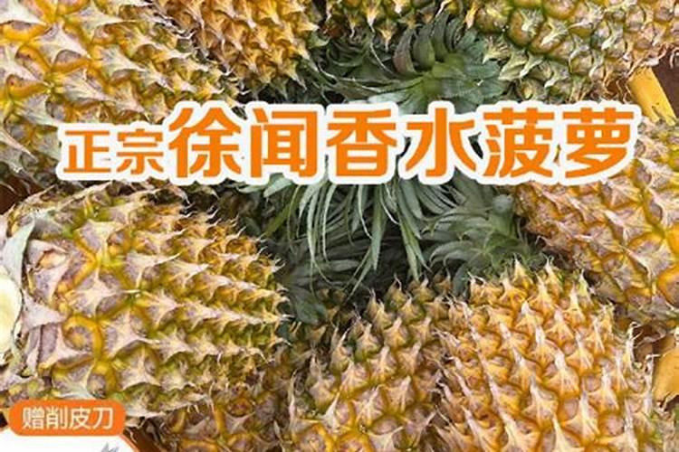 叶面肥价格一般是多少 如何选购好用的叶面肥料