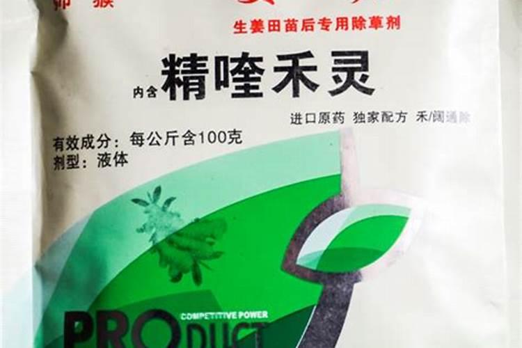 远志几年可以收获