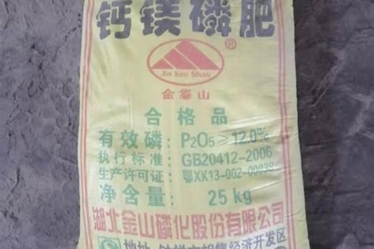 白花三叶草什么时候种植 多少钱一斤 好种吗