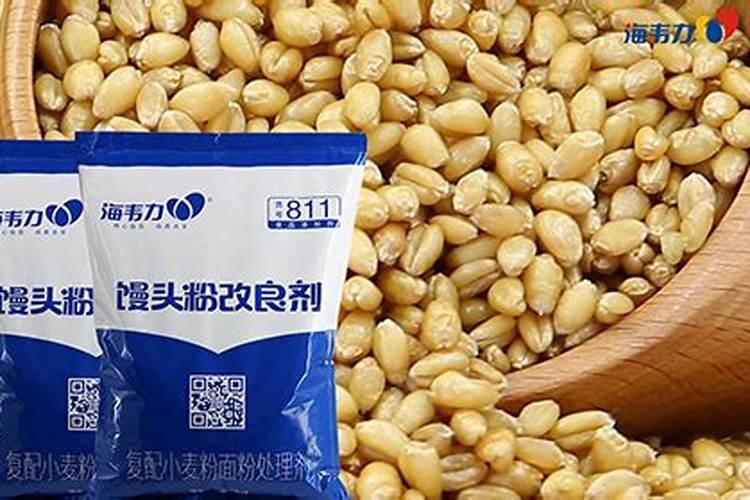 插秧是水稻还是小麦,插秧后什么时候开始追肥