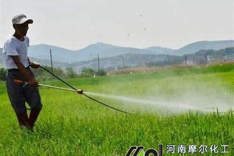 绣球调蓝色的常用方法及用量(绣球花调颜色蓝色最佳方法)