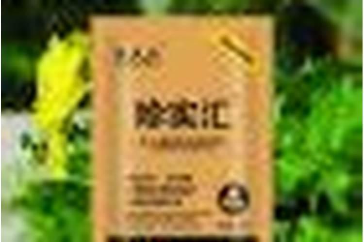 福建山樱什么时候种植最佳
