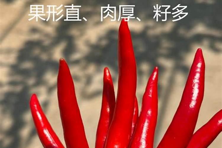 辣椒苗开花结果期,应该选择什么肥料最适宜？