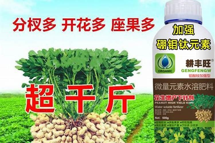 打了玉米控旺要10天可以打叶面肥吗？