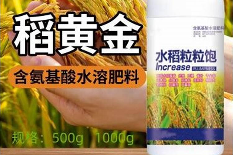 1亩有机水稻成本是多少