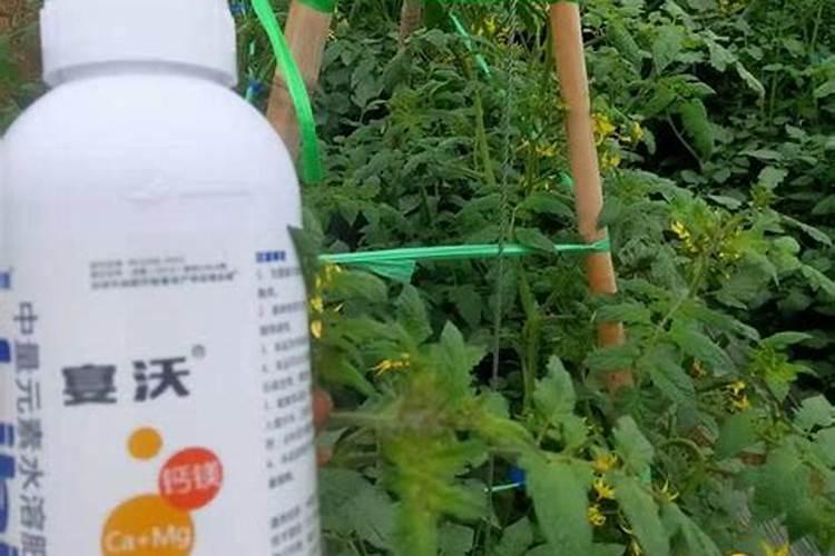 果树钙肥什么品牌最好？
