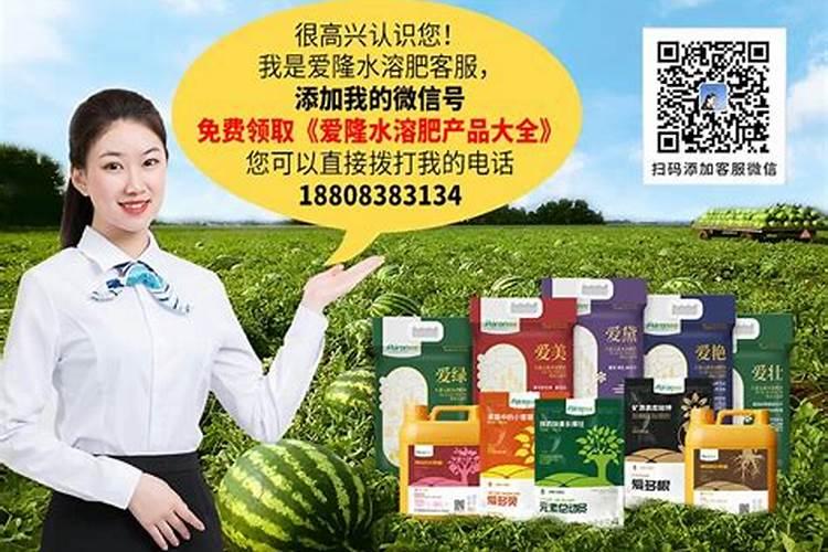 玉米弱苗复壮的措施有哪些