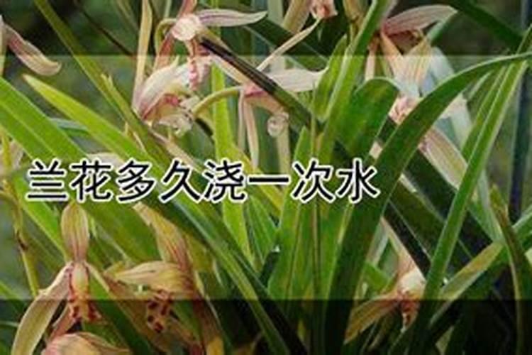 冬天叶面施肥后放到哪里？