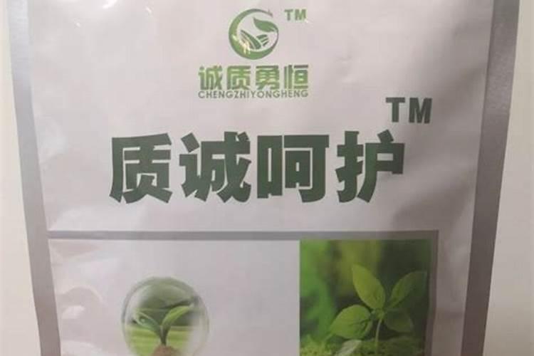 玉米如何使用叶面肥