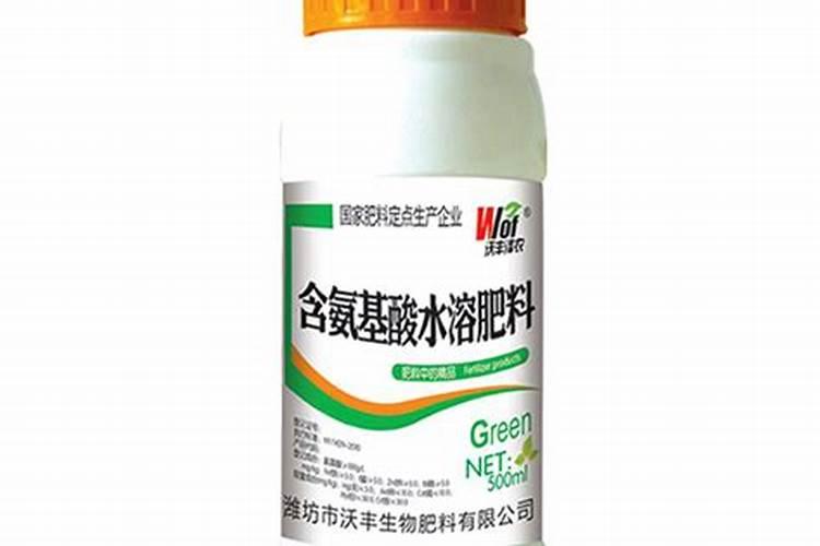 白掌要施什么肥最好