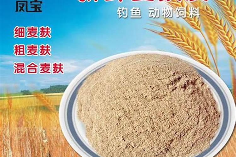 小麦如何喂鱼