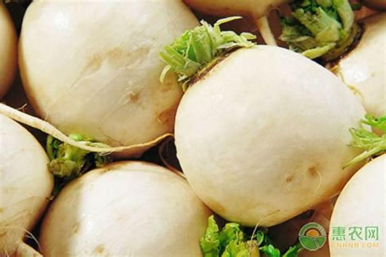 萝卜肉质根糠心病防治方法