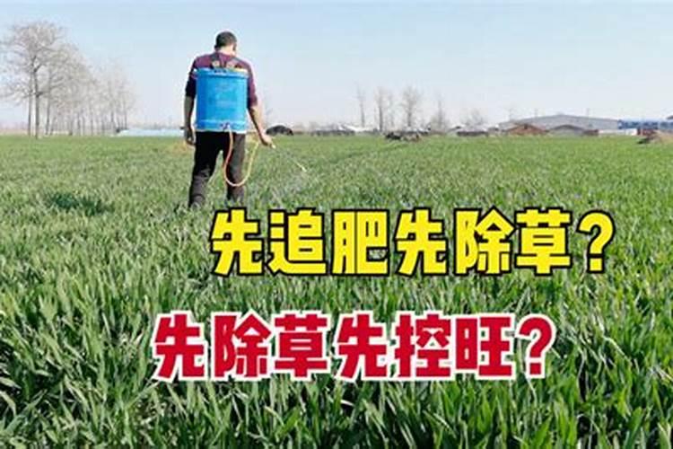 小麦打过叶面肥几天能打除草剂