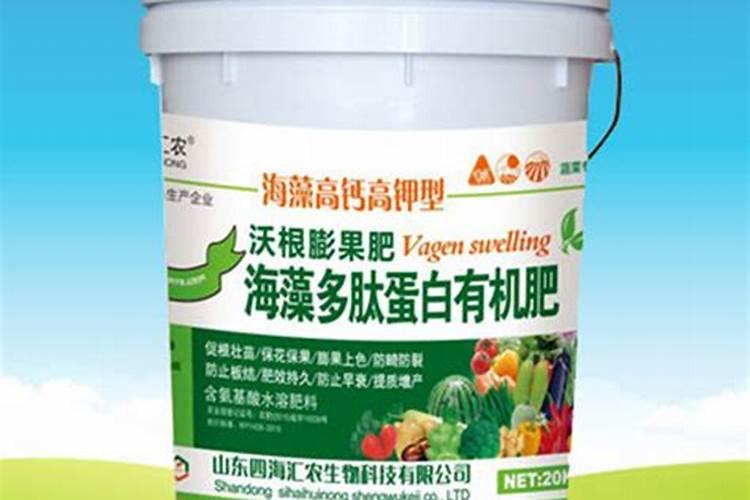 海藻肽的功效与作用,海藻肽是什么