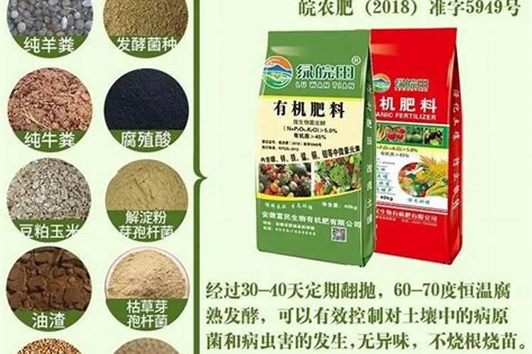 绿叶植物缺磷有什么办法