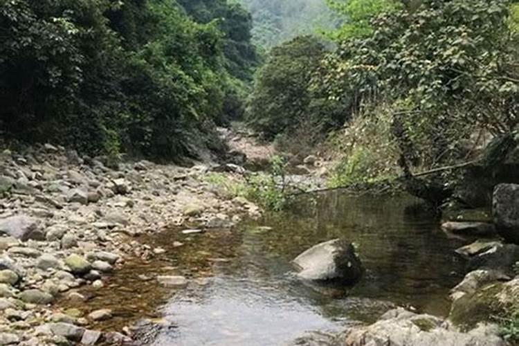 颗粒水溶肥可以冲施药材吗？