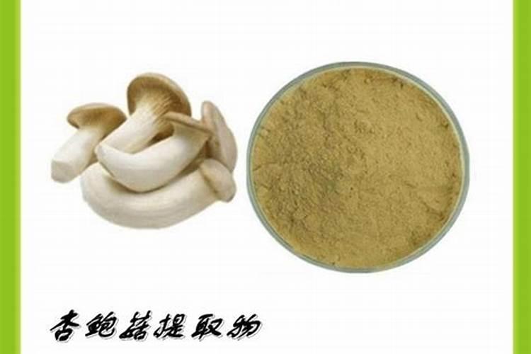 中国最好的叶面肥