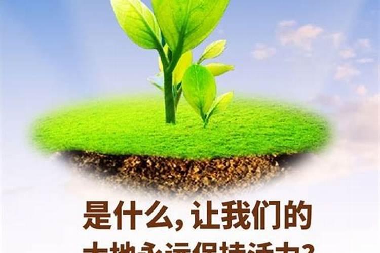 当今市场什么牌子的复合肥最好