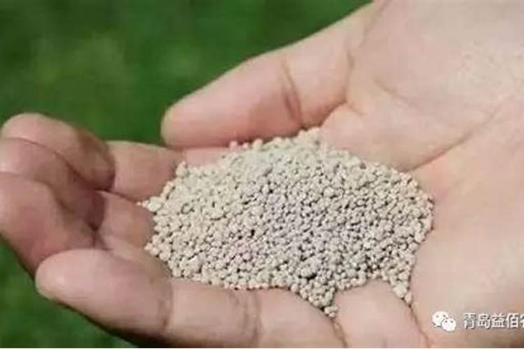 第一年栽的树用施肥吗