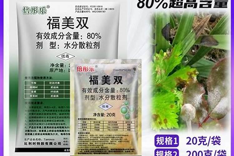 春天不要注意这几点不要让你的花在穿越寒冬后在春天死去