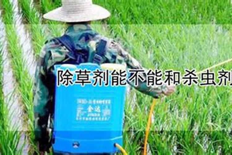生根粉和多菌灵可以一起浇花吗