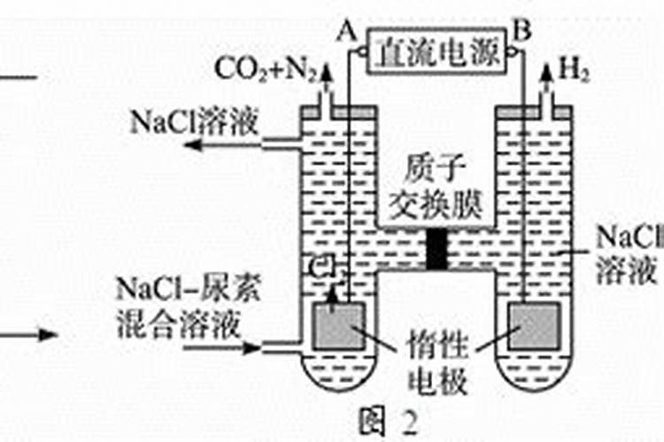 氮肥是尿素吗