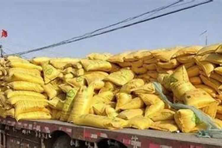 生菜叶片增厚用什么叶面肥