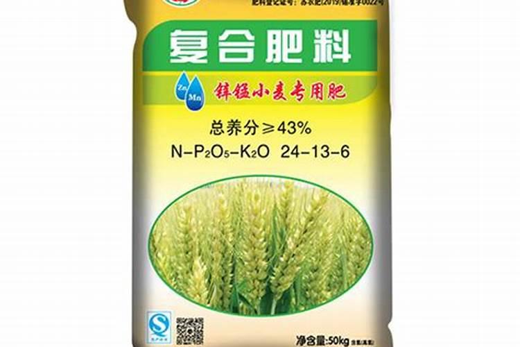 香瓜霜霉病的防治方法是什么？