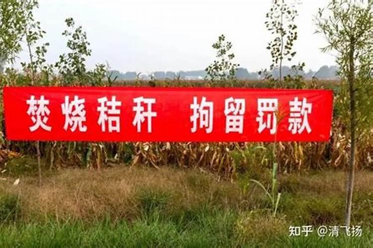 水稻秸秆还田的方法及注意事项有哪些？