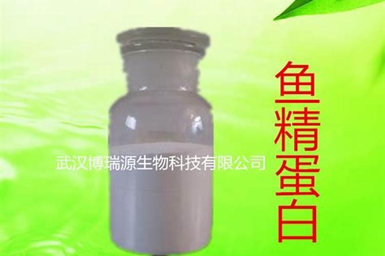 为什么磷是水体富营养化的关键因子